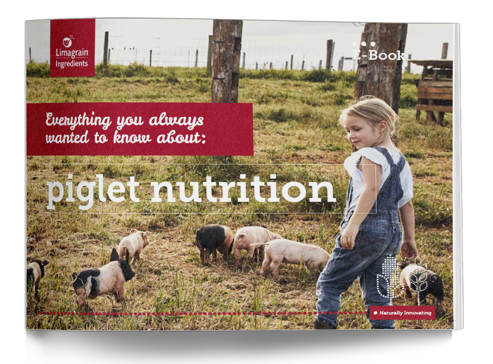 2209_ebook_piglet nutrition_EN_mockup-1