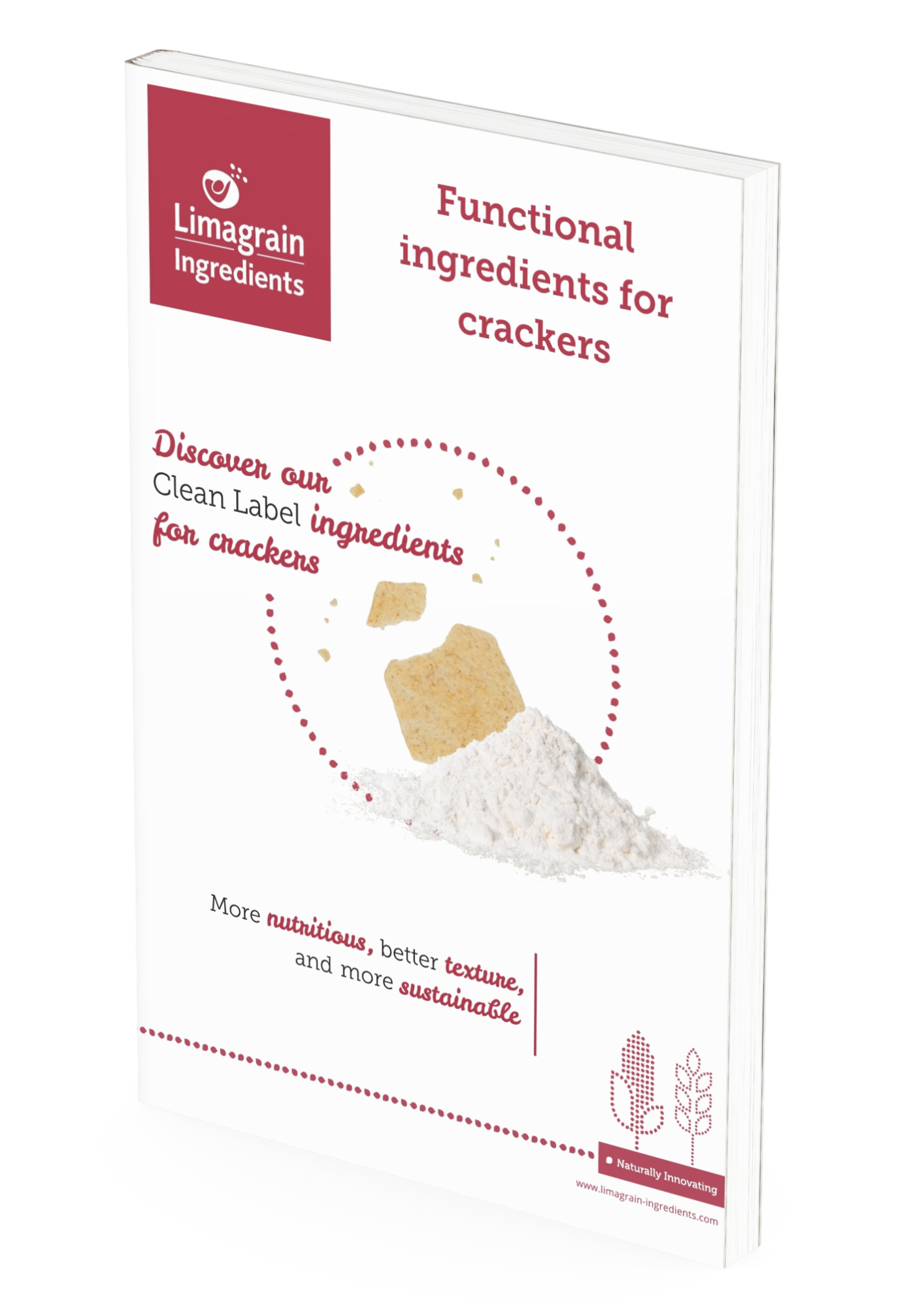 mockup-leaflet-functional-ingredients-crackers